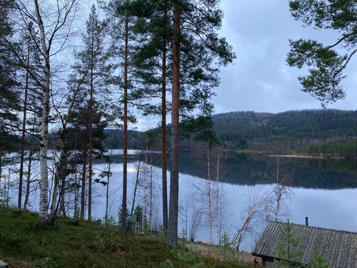 Koli Caravan Cottages エクステリア 写真