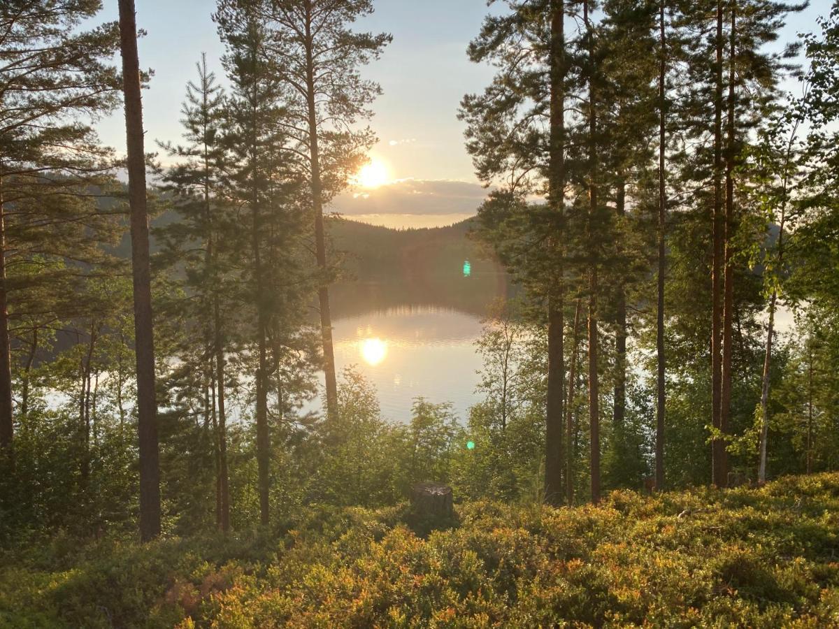 Koli Caravan Cottages エクステリア 写真