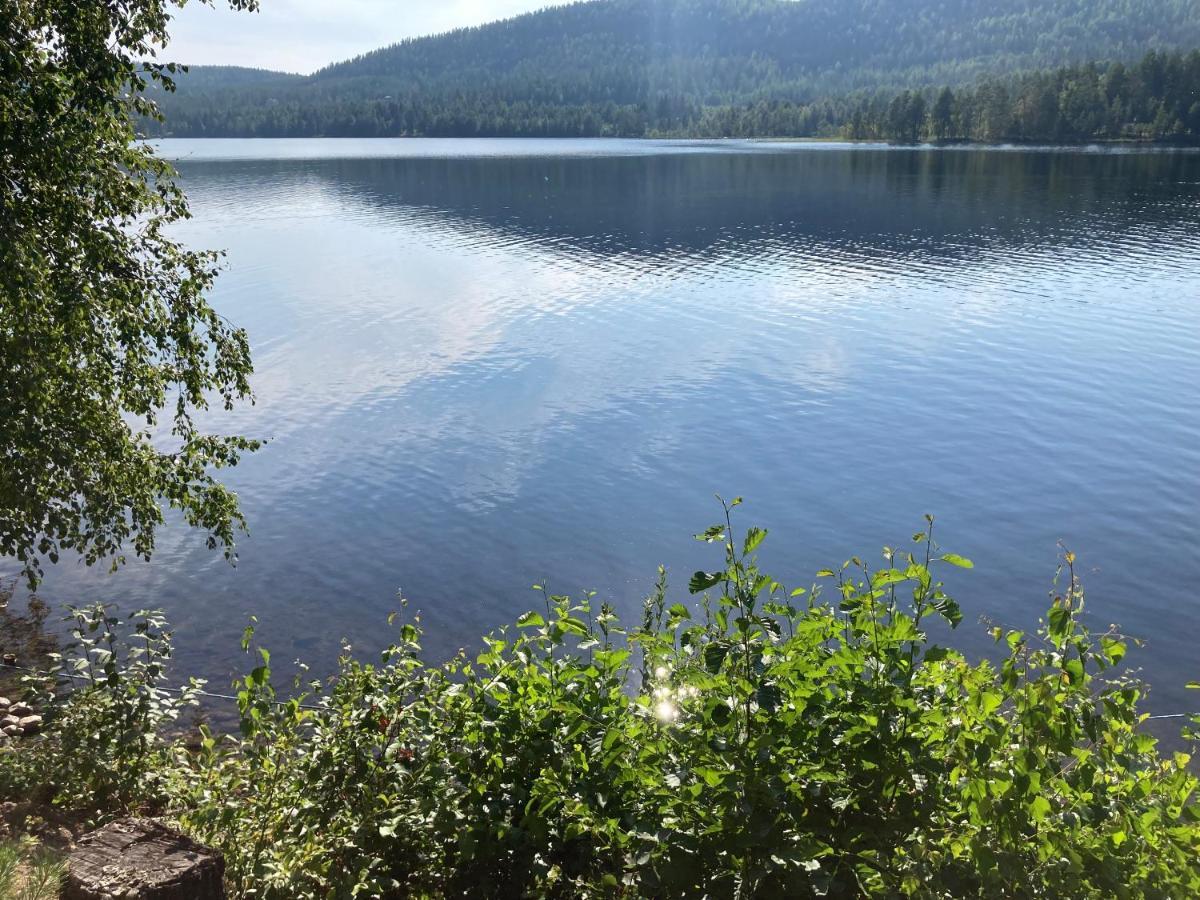 Koli Caravan Cottages エクステリア 写真